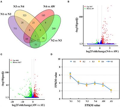 Transcriptomic Profiling of Various Developmental Stages of Aphis Aurantii to Provide a Genetic Resource for Gene Expression and SSR Analysis